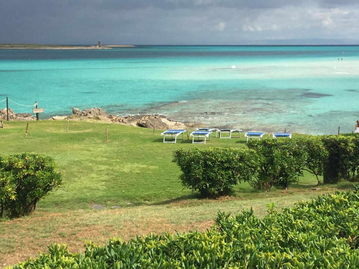 Вилла Carrabean Sea In The North Of Sardegna, With Swimming Pool Viddalba Экстерьер фото