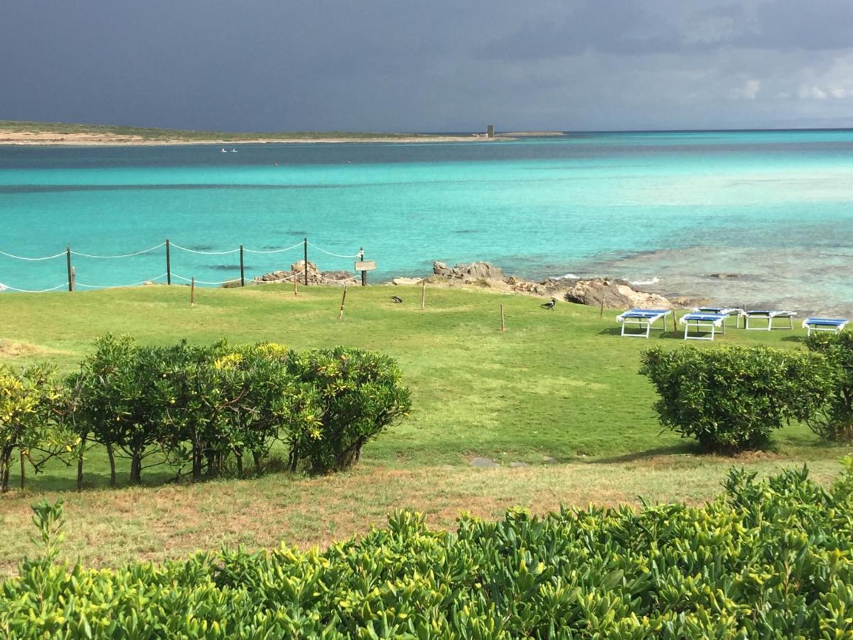 Вилла Carrabean Sea In The North Of Sardegna, With Swimming Pool Viddalba Экстерьер фото