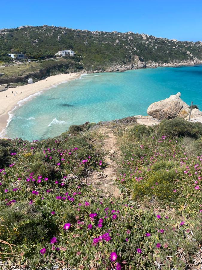 Вилла Carrabean Sea In The North Of Sardegna, With Swimming Pool Viddalba Экстерьер фото