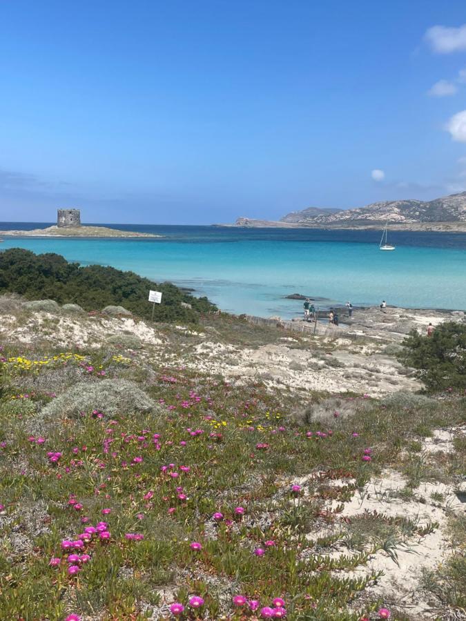 Вилла Carrabean Sea In The North Of Sardegna, With Swimming Pool Viddalba Экстерьер фото
